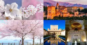 桜とアルハンブラ宮殿とアジャイル開発：全体性が持つ美の秘密