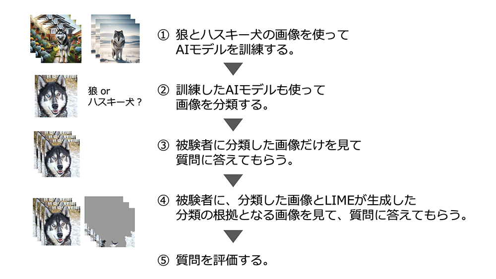 説明可能なAIに関する実験の流れ