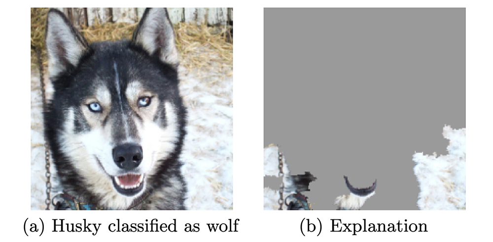 狼と分類したハスキー犬の画像と、LIMEが示した分類の根拠となる画像